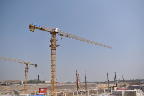 武漢最大還建房項目 豹澥項目首座塔吊安裝完成